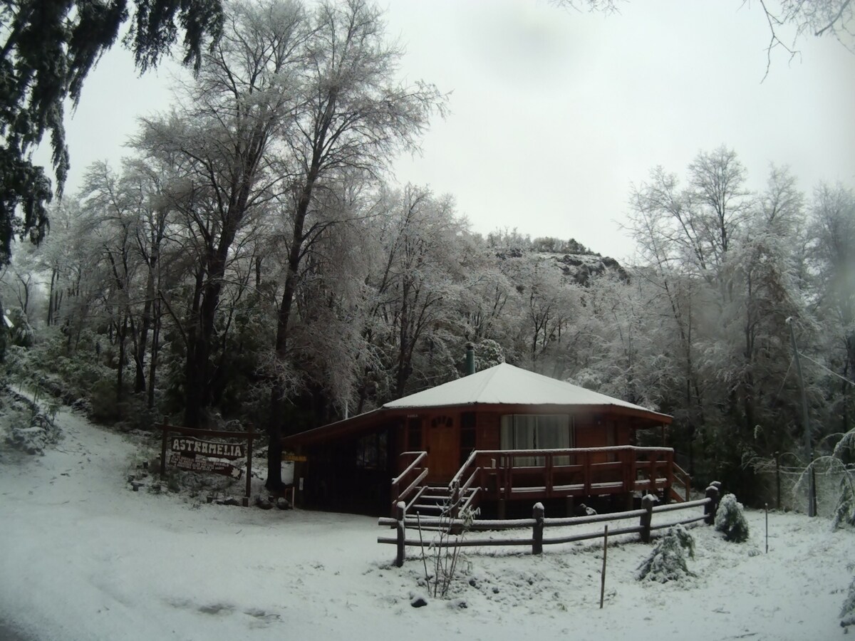 40333f51-6913-4e22-b256-fdad37398593